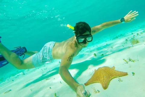 Tulum: Cozumel Cielo Avontuur! Rondreis vanuit Tulum