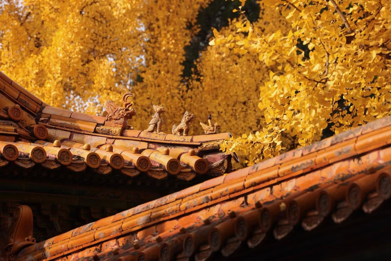 Pechino: tour della Città Proibita con una guida studente di storiaBiglietti d&#039;ingresso per la Città Proibita e il Parco Jingshan