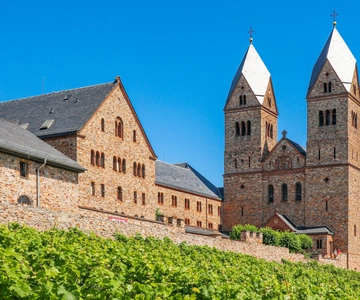 Rüdesheim: Private Guided Walking Tour