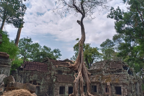 Siem Reap: tour guidato di 4 ore a Ta Prohm e Banteay Kdei