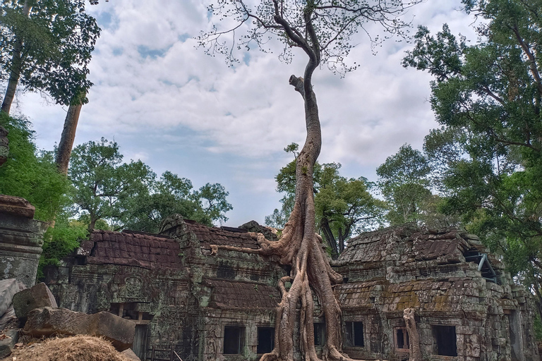 Siem Reap: 4-timmars guidad tur i Ta Prohm och Banteay Kdei