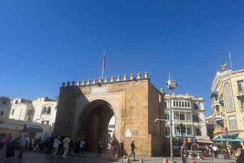 Tunis, Carthage & Bardo Museum: A Journey Through History From Mahdia