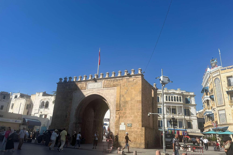 Tunis, Carthage & Bardo Museum: A Journey Through History From Mahdia