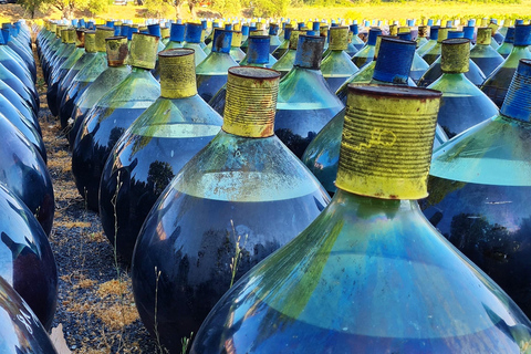 Wine Tour by minibus: Picnic Day and Wines around Perpignan Privatization