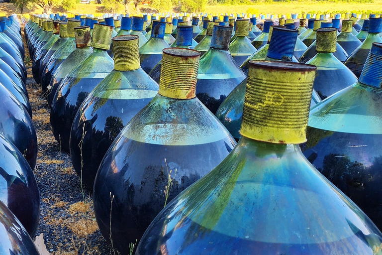 Wine Tour by minibus: Picnic Day and Wines around Perpignan Privatization
