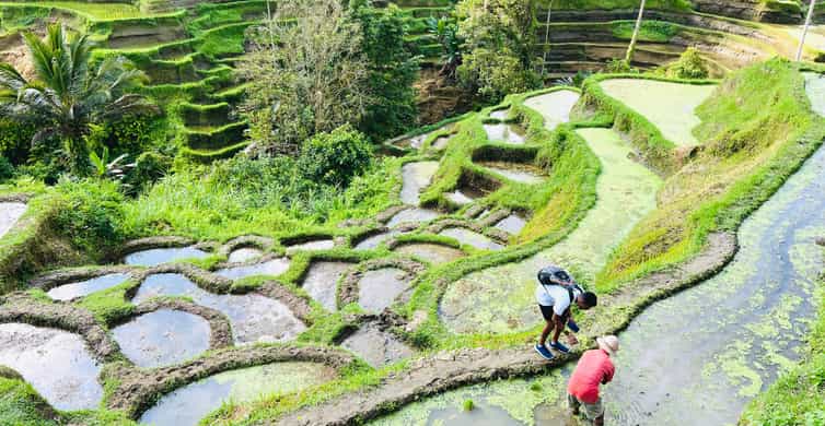 Tur Guide Bali Bali Özel Rehber ile Ubud'un En İyileri Tam Günlük Tur | GetYourGuide