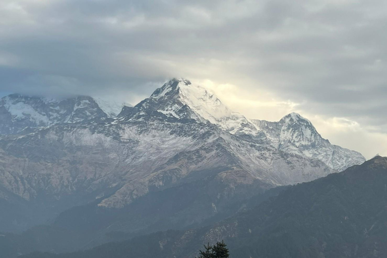 Von Pokhara: 3 Tage 2 Nächte Annapurna Poon Hill Short Trek