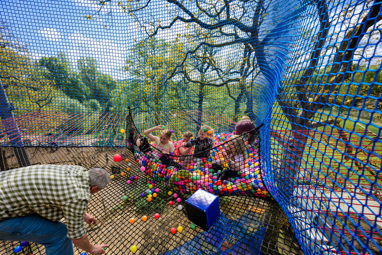 Windermere: Treetop bouncy nets (Treetop Nets)