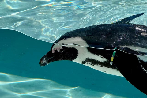 Fukuoka: Marine World Ticket & Digital Itinerary Plan
