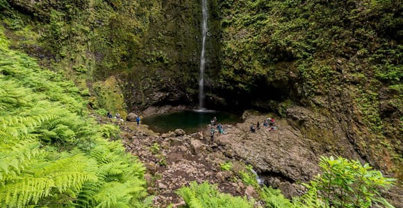 Madeira: Levada Caldeirão Verde Waterfalls and Forests Hike