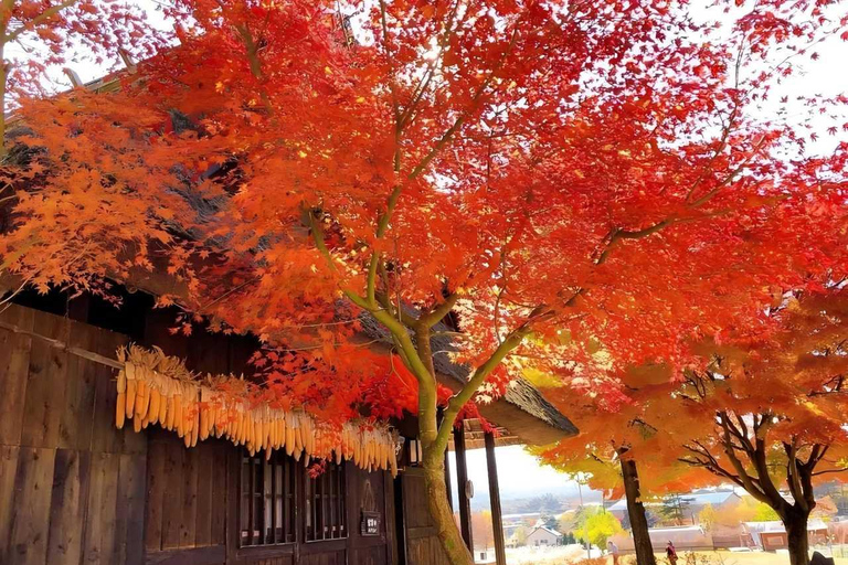 Tokyo : Visite d&#039;une jounée des quatre sites majestueux du mont Fuji