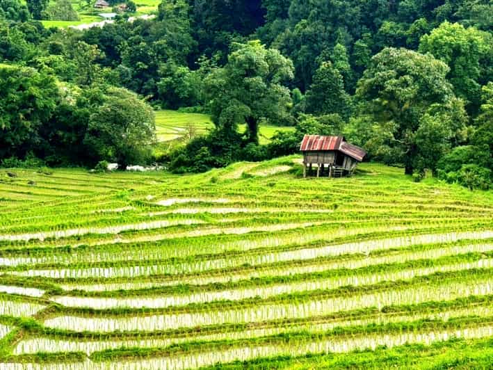 Chiang Mai: Viaje a Doi Inthanon con excursión guiada a Pha Dok Siew