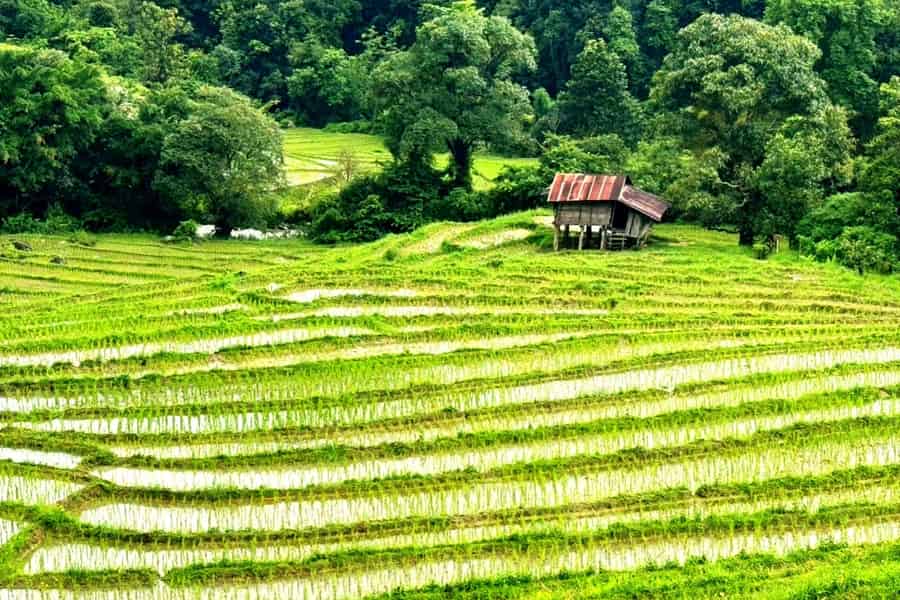Chiang Mai: Doi Inthanon Trip mit Pha Dok Siew Guided Trek. Foto: GetYourGuide Chiang Mai: Doi Inthanon Trip mit Pha Dok Siew Guided Trek. Foto: GetYourGuide