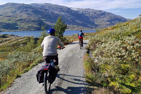 Guided, electric bicycle tour from Vatnahalsen (near Flam) Guided e-bike tour from Vatnahalsen (Myrdal) - Rallarvegen