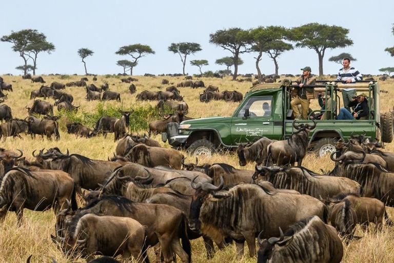 2 Dagen Serengeti safari op een privécamping