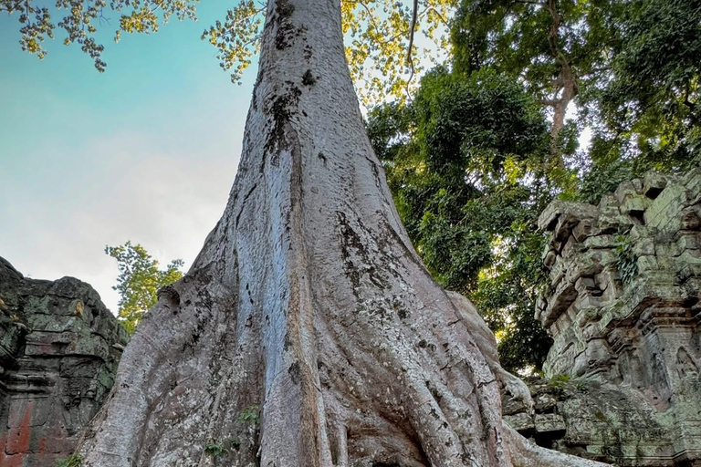 Siem Reap: Personalized Angkor Wat Private Guided Tour 3 Hours–Angkor Wat Focus with Sunrise