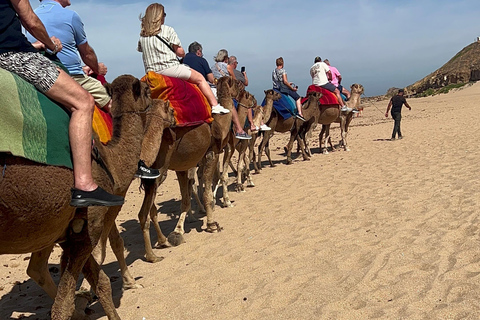 Explore Tangier: Guided City Tour and Seaside Camel Ride Pick up from the cruise terminal