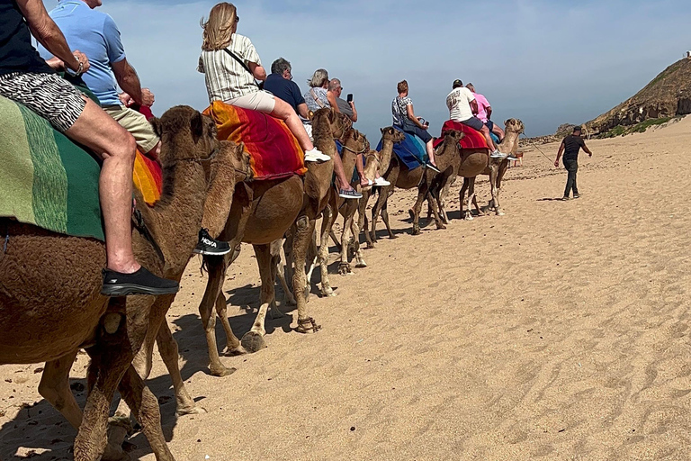 Explore Tangier: Guided City Tour and Seaside Camel Ride Pick up from the cruise terminal