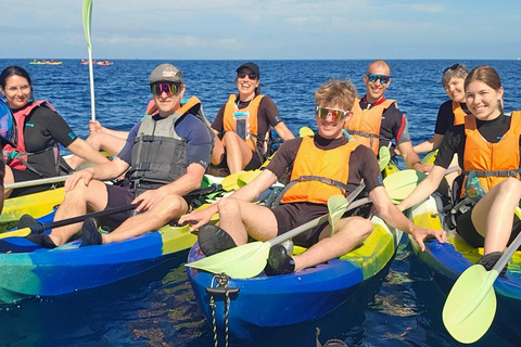 Tenerife: Turtle Bay - Kayak Rental with Drink and Equipment