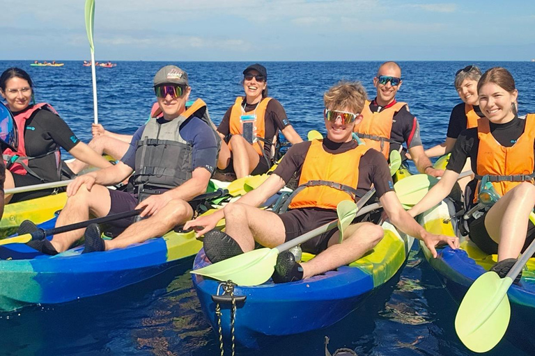 Tenerife: Turtle Bay - Kayak Rental with Drink and Equipment
