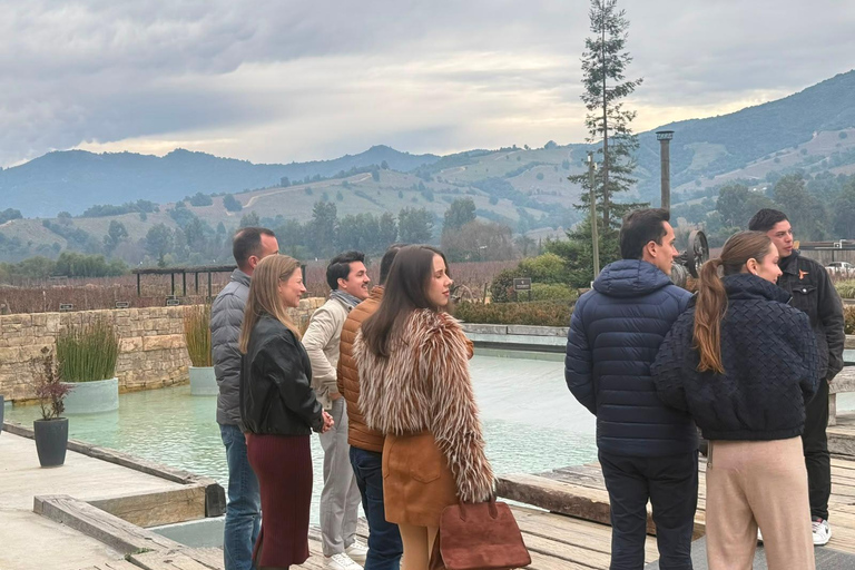From Santiago: Viña Montes Winery Tour with Wine Tasting