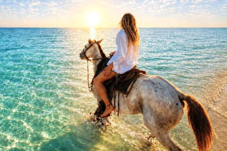 Reiten in der Makadi Bay mit optionaler Sternenbeobachtung, Barbecue & Show. Foto: GetYourGuide Reiten in der Makadi Bay mit optionaler Sternenbeobachtung, Barbecue & Show. Foto: GetYourGuide