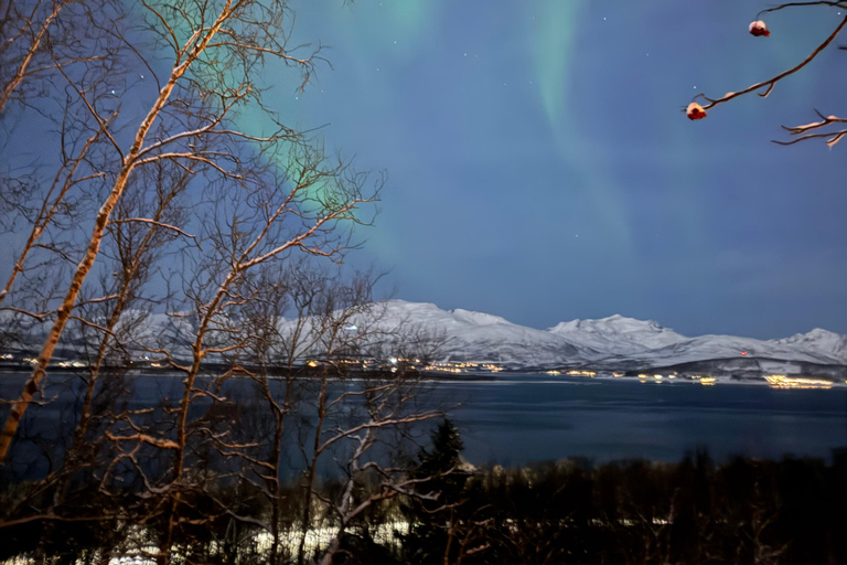 Tromsø: Snowshoe Tour in Coastal Nature Near the City