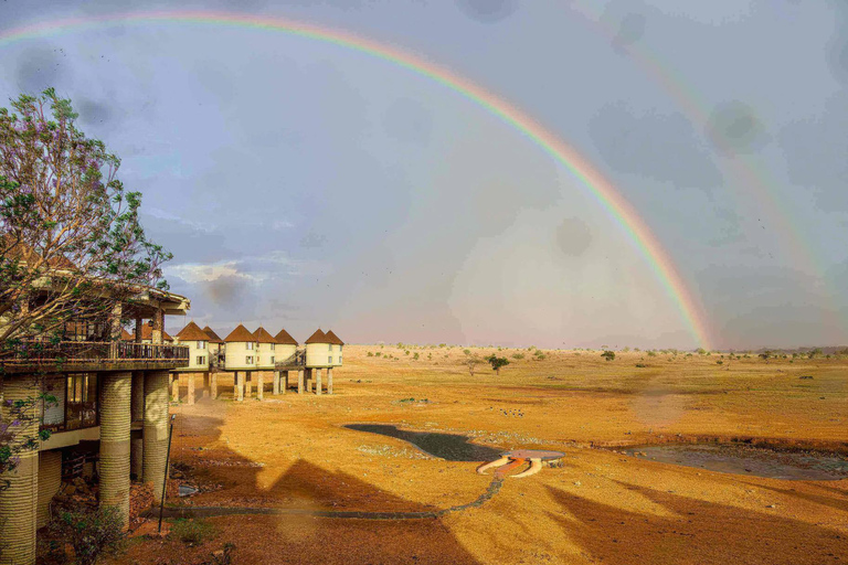 Mombasa/Diani: 2-Day 1 Night Safari to Salt Lick Lodge