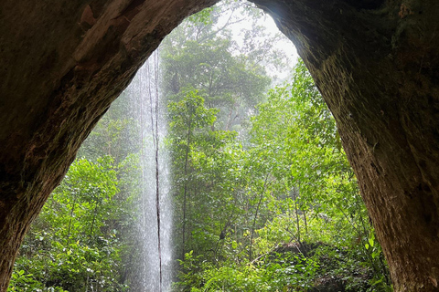 Presidente Figueiredo: Jungle Lodge Immersion in the Amazon (2–4 days) Full Jungle Lodge Experience in the Amazon (2 days and 1 night)