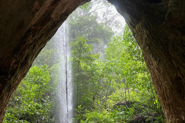 Presidente Figueiredo: Jungle Lodge Immersion in the Amazon (2–4 days) Full Jungle Lodge Experience in the Amazon (2 days and 1 night)