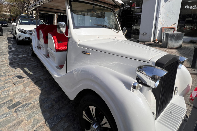 Tbilisi: tour met elektrische auto en kabelbaan met gids