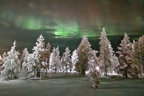 Levi: Northern Lights by Snowshoe Hike with Latvian Guide Northern Lights Snowshoe Hike in Levi with Latvian Guide