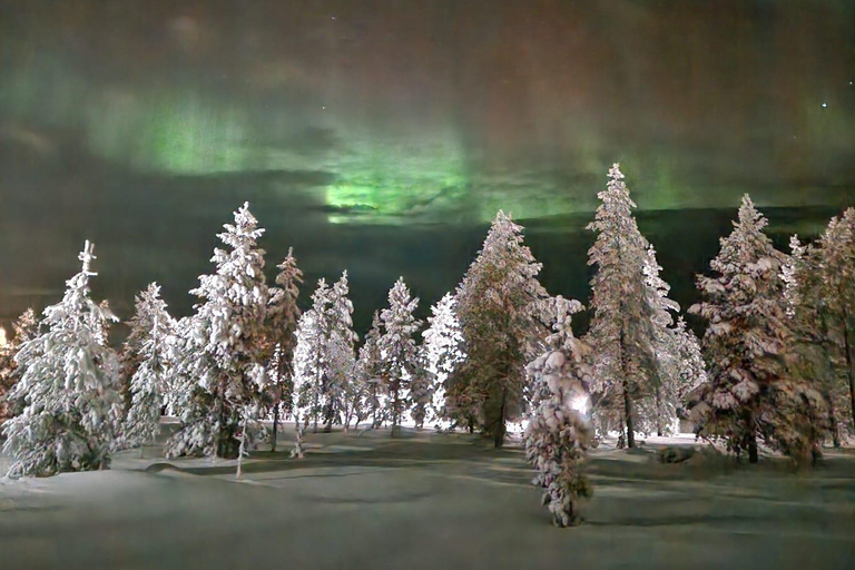 Levi: Northern Lights by Snowshoe Hike with Latvian Guide Northern Lights Snowshoe Hike in Levi with Latvian Guide