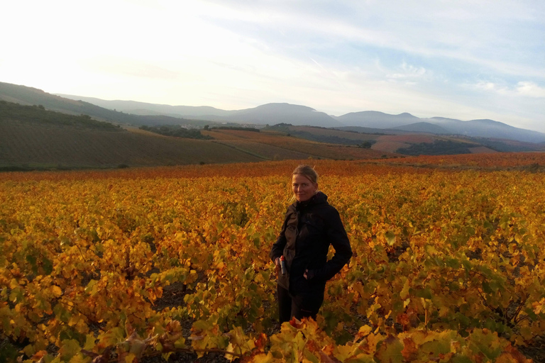 Beziers: Eco Wine Tasting at Sarabande Wines Off-Grid Winery