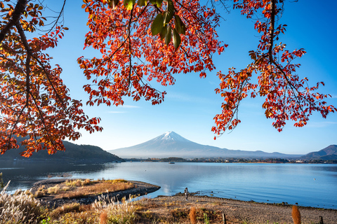 From Tokyo: Mt. Fuji or Hakone Private Sightseeing Day Trip Itinerary A: Mount Fuji