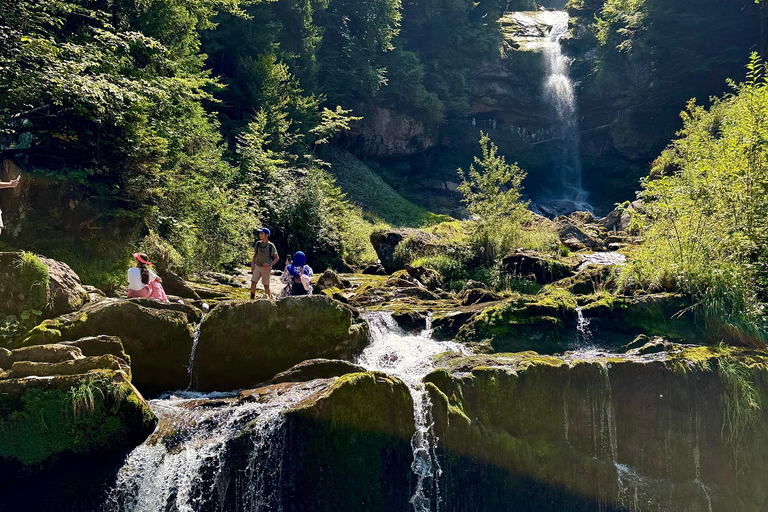 إنترلاكن: استكشف إيسلتوالد وجيسباخ بجولة بالدراجة الكهربائية