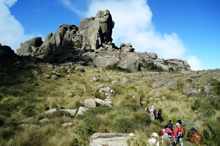 Rio de Janeiro ou São Paulo : circuit de 3 jours dans le parc national d'Itatiaia