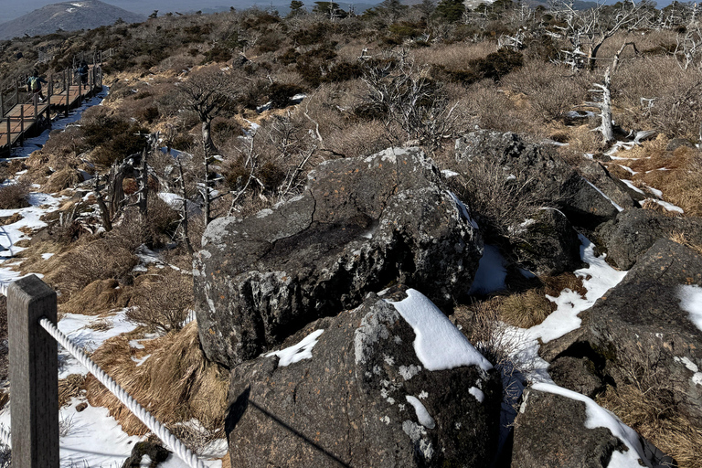 Wandeling Hallasan op het eiland Jeju, de hoogste berg van Zuid-KoreaJeju Hallasan; Sneeuwbloemenwandeltocht met lunch