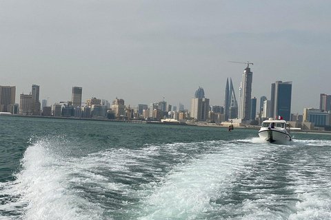 Manama: Tour por la ciudad y el desierto de Bahréin con traslados