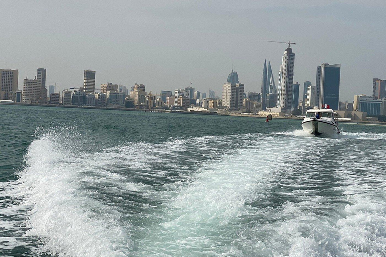 Manama : Tour de la ville de Bahreïn et du désert avec transferts