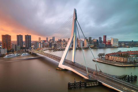 Rotterdam &amp; Haarlem: Private Full-Day Tour from Amsterdam