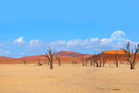 Namibia: explora el cañón más grande de África, las dunas y las salinas.Namibia: explora el cañón más grande de África, las dunas y las salinas