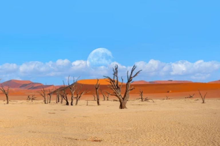 Namibia: explora el cañón más grande de África, las dunas y las salinas.Namibia: explora el cañón más grande de África, las dunas y las salinas