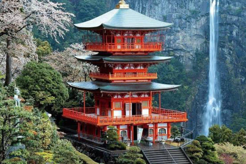 Wakayama: Private Tour to Nachi Falls & Mount Koya