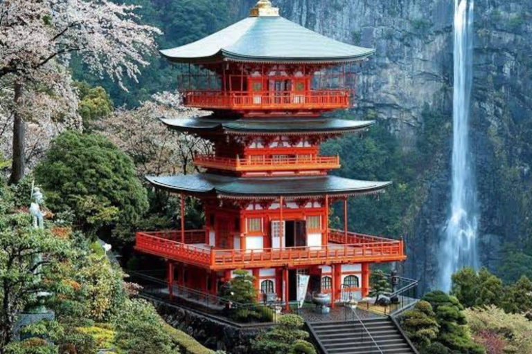 Wakayama: Private Tour to Nachi Falls & Mount Koya