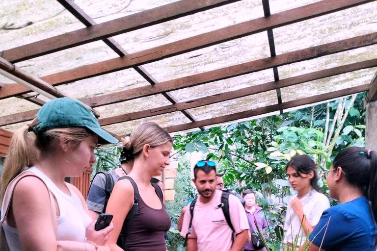 Ubud: Private Half-Day Tour Rice Terrace, Temple & Waterfall Private Half-Day Tour (With Entrance Tickets)