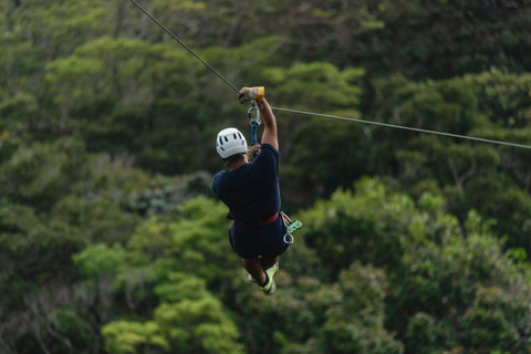 Puerto Maldonado: Zipline, Canopy, and Kayaking Adventure