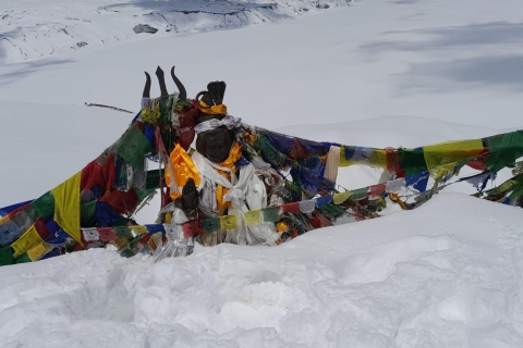 Desde Pokhara: Trekking de 7 días al Campamento Base del Annapurna