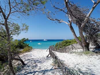From Calvi: Agriate Guided Jeep Tour to Lotu and Saleccia