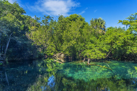Punta Cana Cenote: Floating Sound Healing & Swim